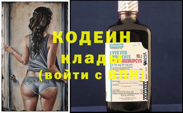 индика Алзамай