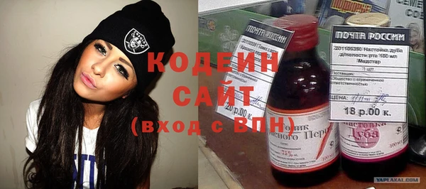 индика Алзамай