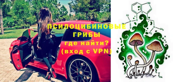 индика Алзамай