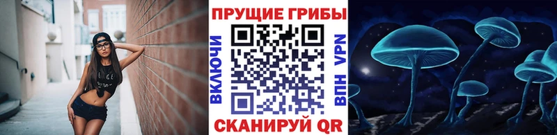 Псилоцибиновые грибы GOLDEN TEACHER  наркошоп  Каневская 